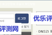 【DNSzi.com】韩国免费DNS解析注册及使用教程-优乐评测网