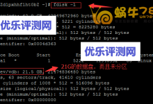 如何为Linux系统VPS挂载数据盘到指定目录-优乐评测网