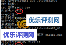 Vultr日本机房1核768M内存VPS性能测试-优乐评测网