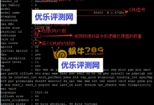 如何对VPS进行性能测试及UnixBench跑分工具使用教程-优乐评测网