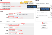 RAKsmart“新春钜惠”独立服务器五折秒杀、VPS限时8折(截止2017.2.28)-优乐评测网