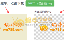 在线图片去底工具BgRemover 将纯色背景图片转换为背景透明图片-优乐评测网