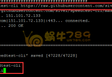 Linux系统VPS带宽测速脚本 Speedtest Linux测速工具-优乐评测网