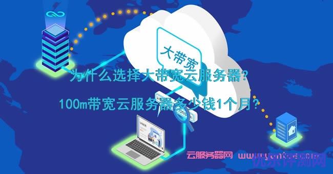 为什么选择大带宽云服务器?100m带宽云服务器多少钱1个月?遇到疑问,可以联系我或给我留言-优乐评测网