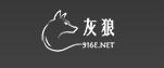 316e-net