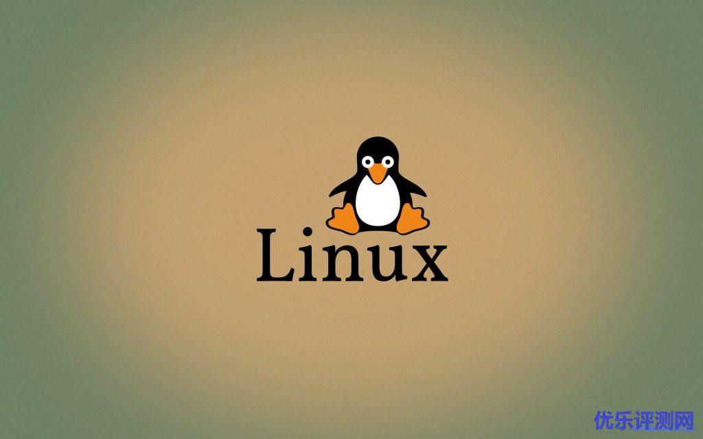 Linux服务器VPS的Windows DD包详细的制作教程-优乐评测网