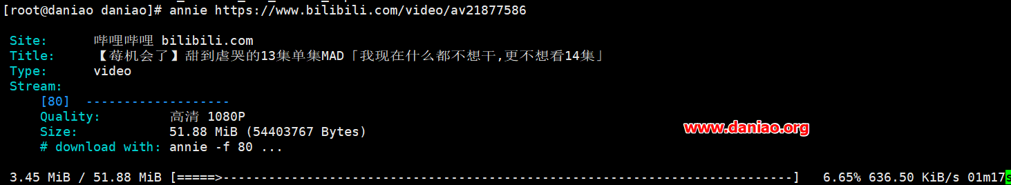 轻量级视频下载神器Annie – Bilibili、Youtube、抖音轻松下载！