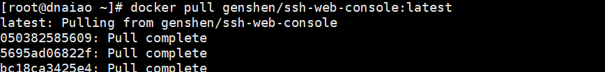 宝塔面板docker安装ssh-web-console – 一款基于go语言开发的web端ssh工具
