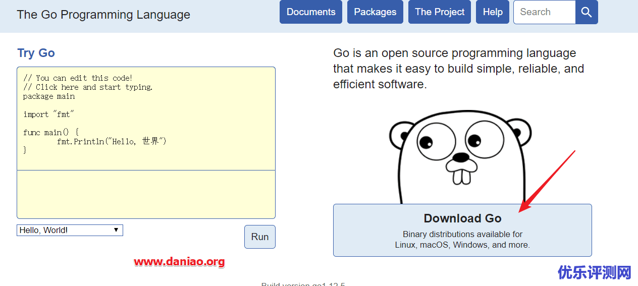 宝塔面板Linux环境-安装Golang:Go语言环境安装以及程序如何运行