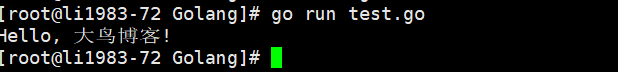 宝塔面板Linux环境-安装Golang:Go语言环境安装以及程序如何运行
