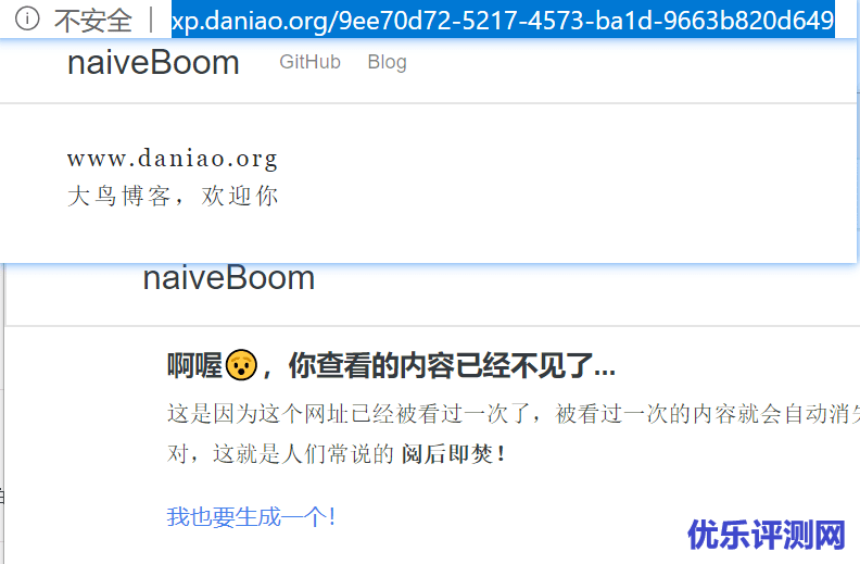 宝塔面板PM2管理器搭建naiveboom – 一款阅后即焚的安全程序