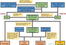 优化 Apache 服务器在 Linux 上的性能 (优化APP下载)-优乐评测网