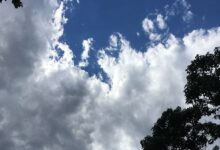 选择正确的云服务器监控工具:全面指南 (请选择正确的)-优乐评测网