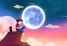 通过讲述您独特爱情故事的定制婚纱摄影,创造独一无二的回忆 (通过讲述您独有的技能)-优乐评测网