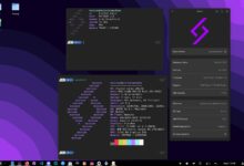 Linux 服务器安全审计:识别和修复漏洞 (linux服务器)-优乐评测网