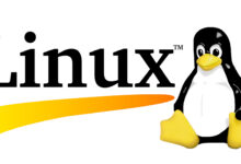 Linux 服务器容器化入门指南 (linux服务器)-优乐评测网
