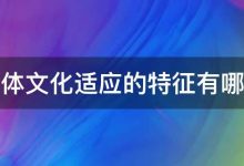 文化适应性在电子商务中的重要性:扩大市场覆盖面 (文化适应性在推销员之死中的体现)-优乐评测网