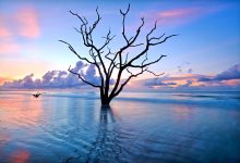 Photoshop 快速指南:利用曲线工具提升清晰度 (photos怎么读)-优乐评测网