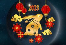 在 2023 年及以后节省服务器年度租金的创新解决方案 (在2023年12月30日英语)-优乐评测网