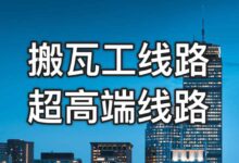 搬瓦工大数据托管:处理和分析海量数据,提取有价值的见解 (搬瓦工 ssh)-优乐评测网