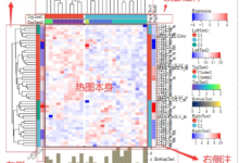 使用热图分析网站流量:深入了解用户行为 (使用热图分析的方法)-优乐评测网