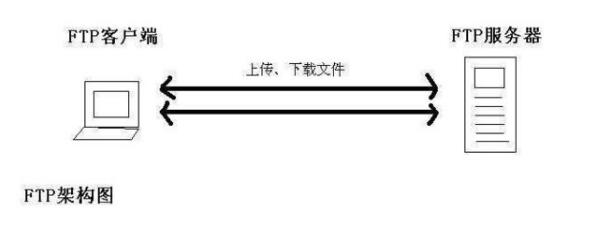 初学者和专家的全面概述