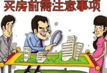掌握购房艺术:从初次购房者指南到专家策略 (购房专业知识)-优乐评测网