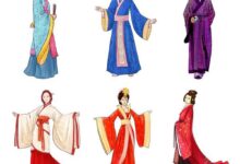 不同用途的服务器价格比较:从基本到关键任务 (不同用途的服装图片)-优乐评测网