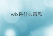 使用 Wix 轻松创建专业的个人网站:初学者和经验丰富的用户的终极指南-优乐评测网