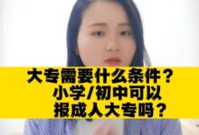 从初学者到专家:门户网站开发初学者指南 (从初学者到专家的典型工作任务包括)-优乐评测网