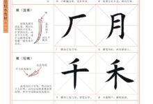 初学者指南:网站托管的基础知识 (初学者指南)-优乐评测网