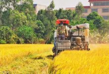 深入了解二级域名注册：创建强大在线形象-优乐评测网