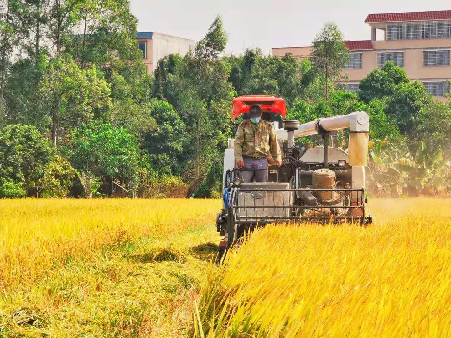 深入了解二级域名注册