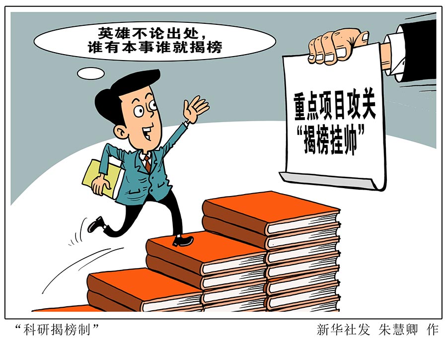 探索资源分配中的行为偏差和陷阱