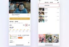 用户体验中的文化适应性:提升全球用户参与度 (用户体验中的一个重要理论)-优乐评测网