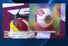 利用人工智能实现无缝的搜索体验 (利用人工智能来获取信息的仪器有())-优乐评测网