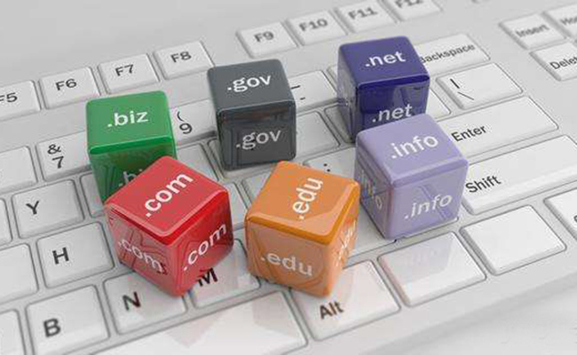 域名注册指南pdf