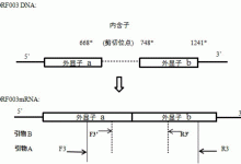 不同类型的内存扩展:理解 DDR4、DDR5 和 EEC (不同类型的内质网功能)-优乐评测网