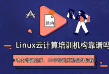 云计算的利刃:优化性能、降低成本的实用策略 (云计算用处)-优乐评测网