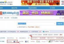 网站权重提升:优化元数据和标题标签以获得优势 (网站权重提升平台)-优乐评测网