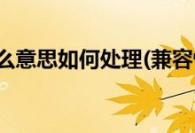 兼容性的关键:解决操作系统、应用程序和硬件之间的挑战 (兼容性的关键因素)-优乐评测网