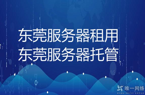 揭秘服务器租用年度费用的秘密