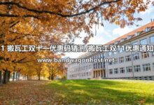 搬瓦工面向开发人员的指南:探索高级功能,打造强大的在线解决方案 (搬瓦工jms)-优乐评测网