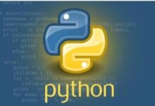 Python Web开发精要:构建健壮且可扩展的应用程序 (python编写的入门简单小游戏)-优乐评测网