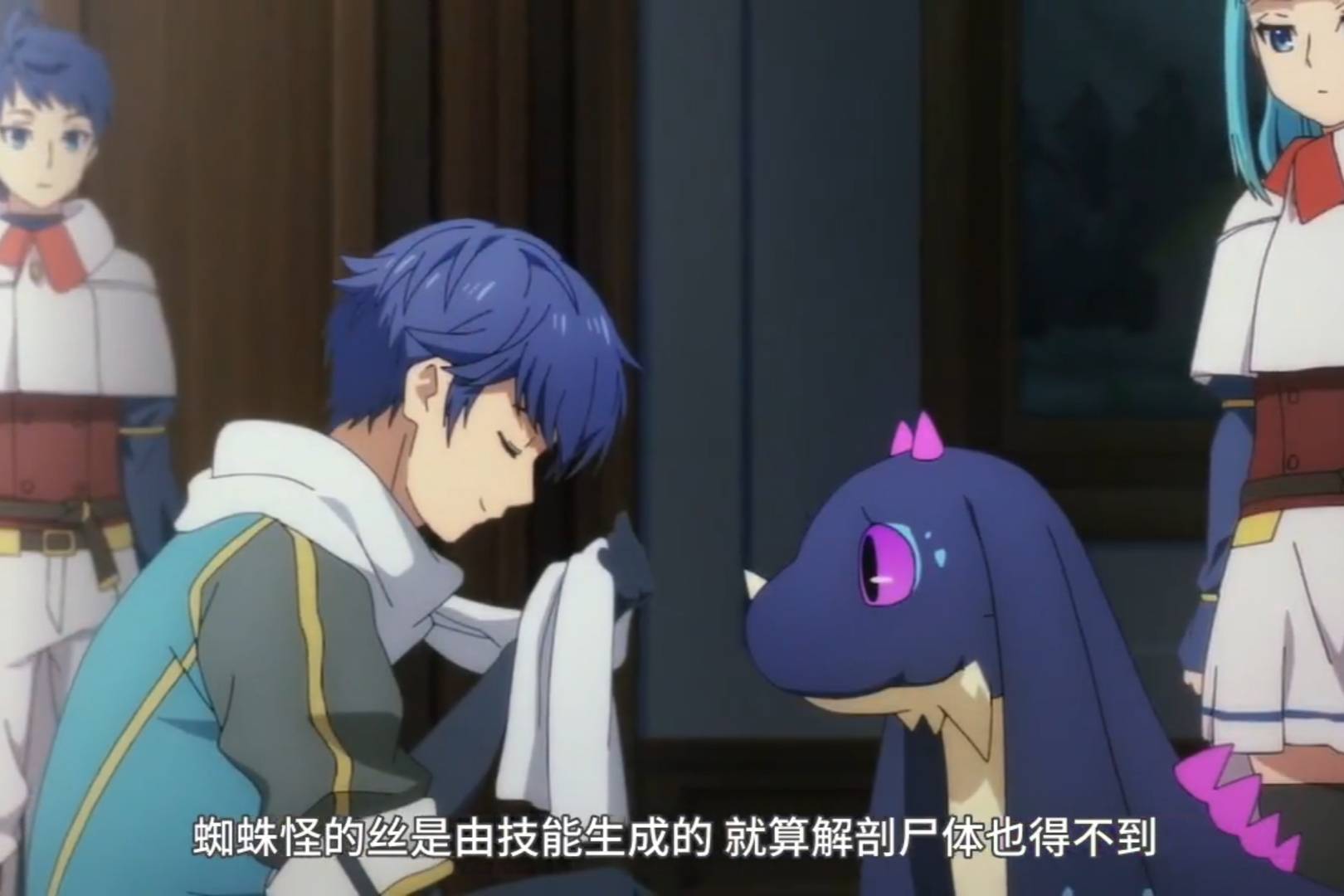 揭开蜘蛛的神秘秘密