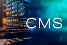 CMS 中的搜索引擎优化(SEO):提高您的内容可见性 (搜索cms)-优乐评测网