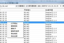 利用二级域名注册打造强势在线品牌 (利用二级域名访问网站)-优乐评测网