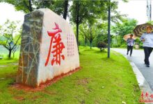 政府通讯的加密脊梁:TLS 加密在公共部门的应用 (政府通讯员主要负责哪些工作)-优乐评测网