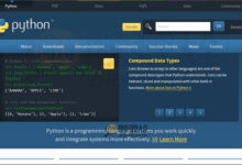 Python Web Development Masterclass: Building Scalable and Secure Websites (python量化交易框架)-优乐评测网