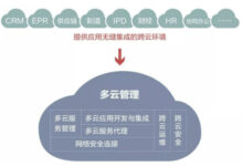 云服务器多云管理:推动现代企业中的数字化转型 (云服务器 chia)-优乐评测网
